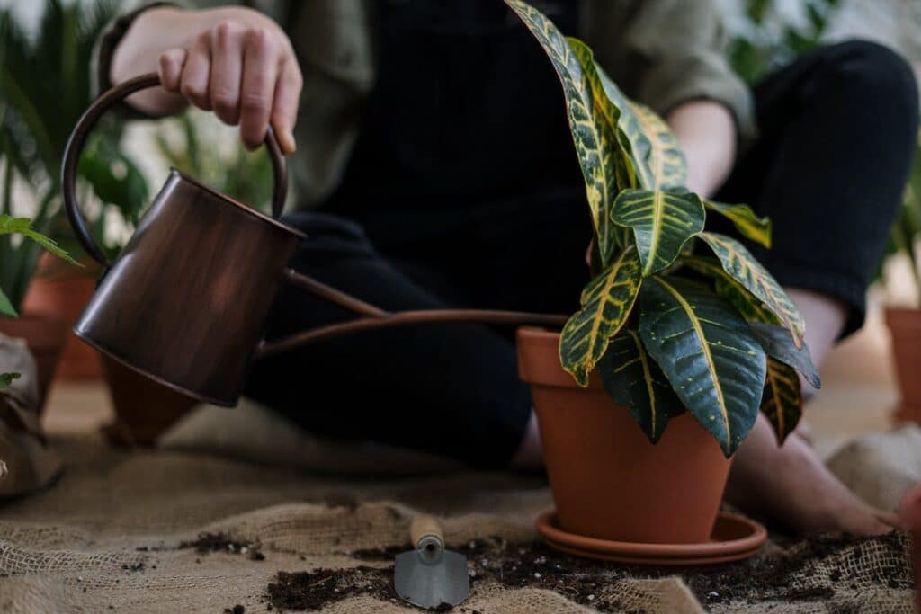 can i use normal soil for indoor plants