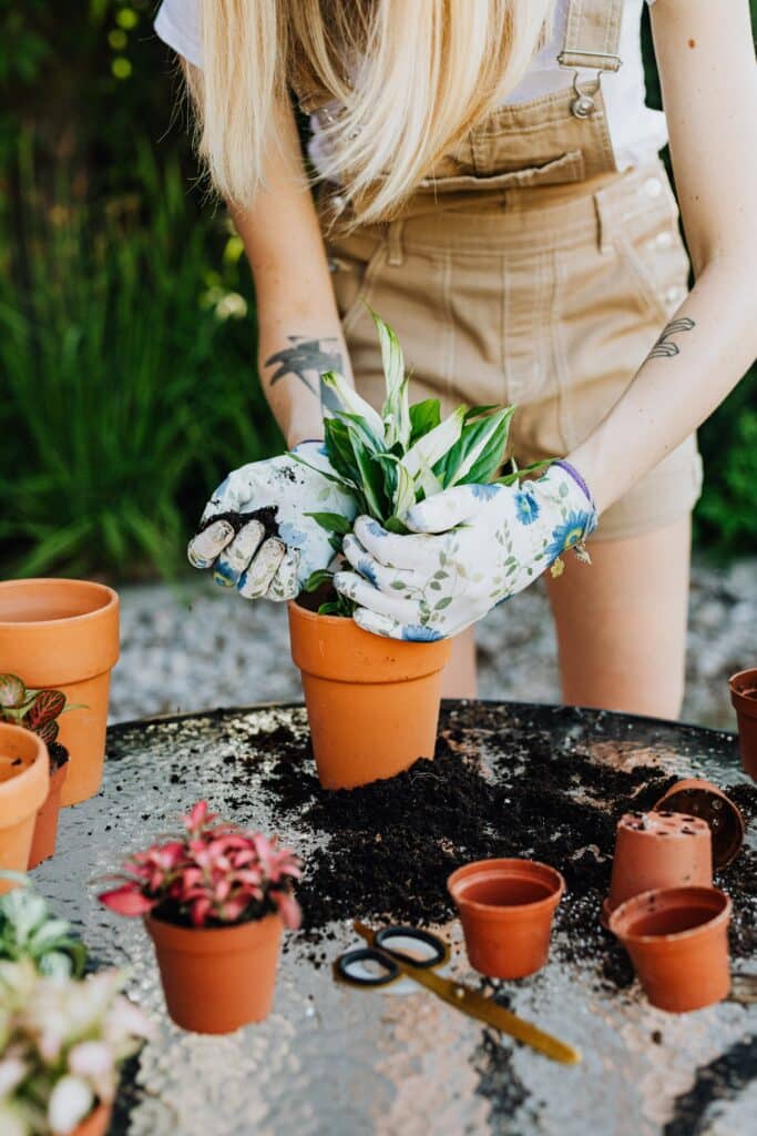 what to use instead of soil for indoor plants
