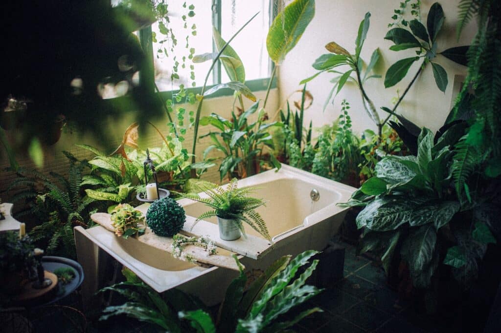 plant tub bathroom hygiene 7498330