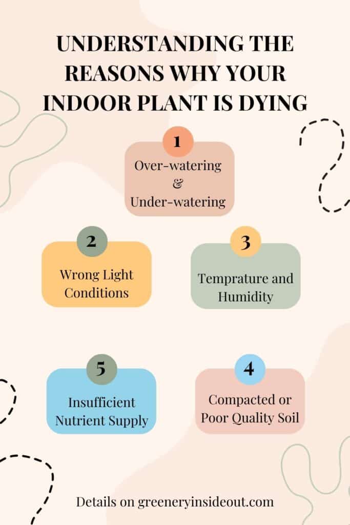 Understanding the Reasons Why Your Indoor Plant is Dying