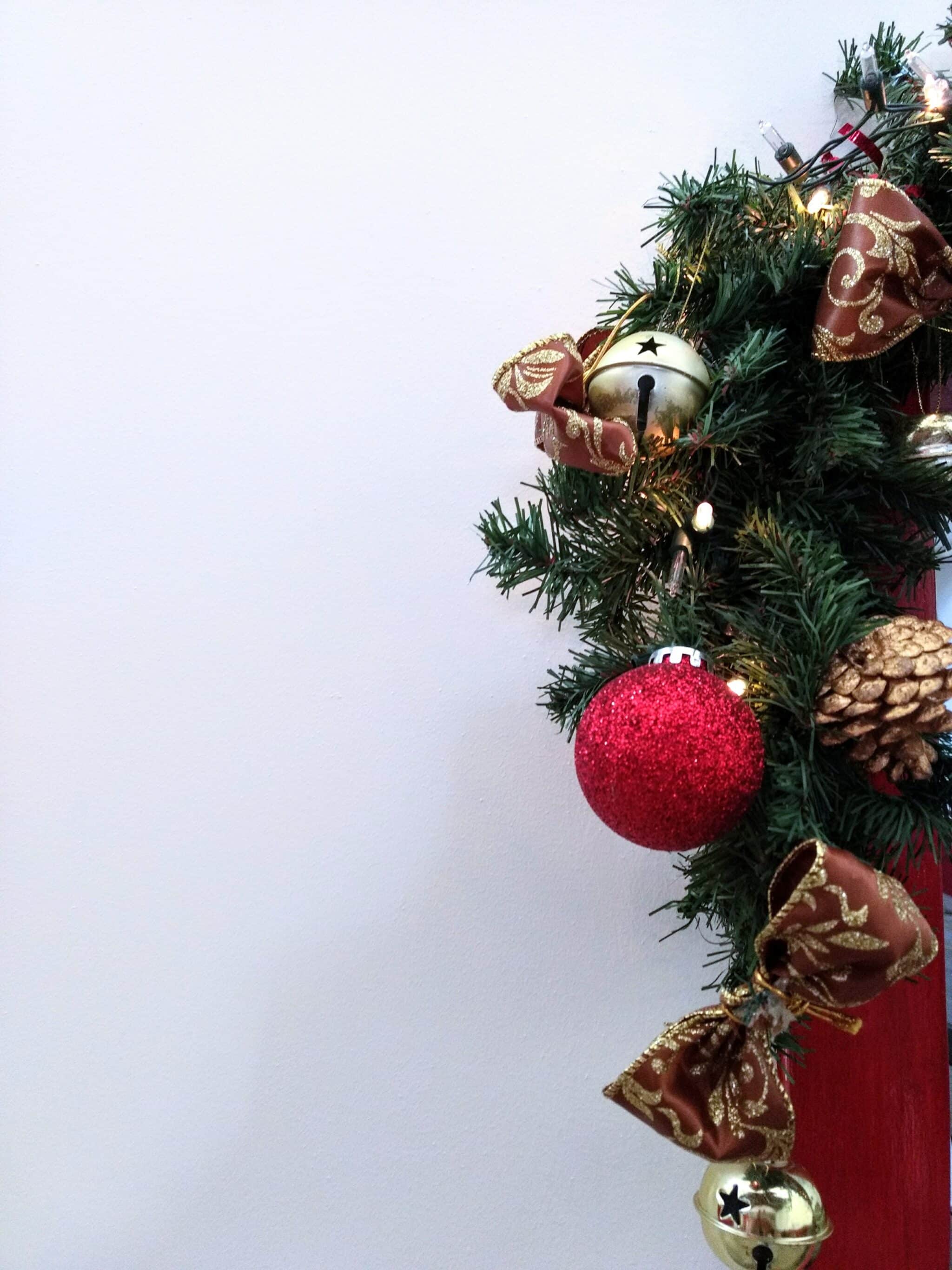 How to Bring a Potted Christmas Tree Indoors