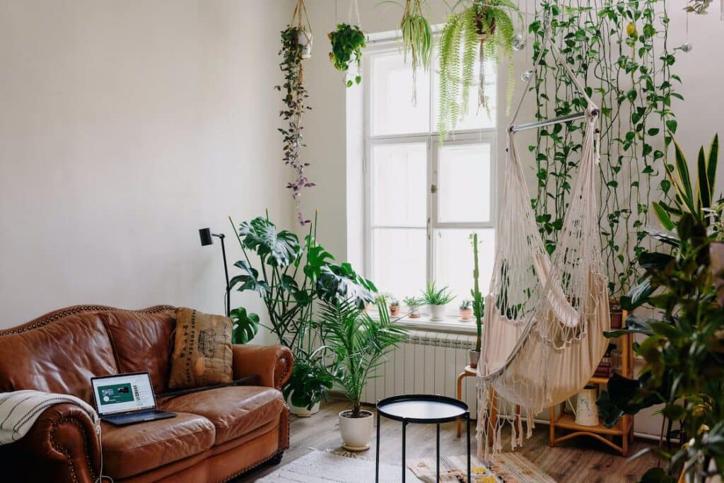 how indoor plants survive without sunlight